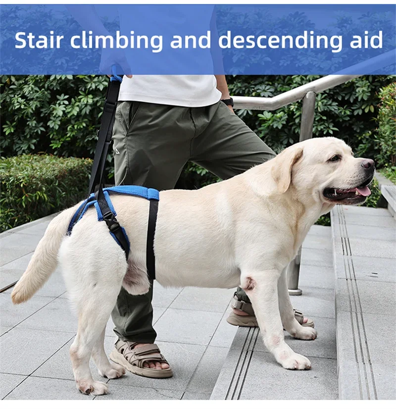 New Upgraded Dog Rear Leg Support Harness Adjustable Pet Lift Sling for Injured Disabled Elderly Dogs Walking Assistance Supply