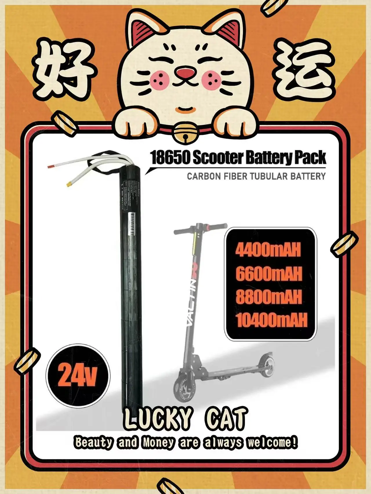 Electric Scooter Carbon Fiber Battery 24V Built-in Battery Carbon Fiber Scooter 18650 Lithium Battery Pack
