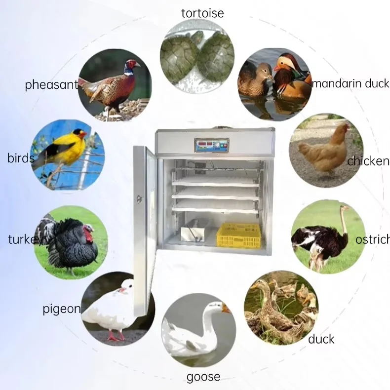 New Product Explosion HZ-528 Egg Incubators Automatic Hatching Machine Intelligent Temperature Control on Sale