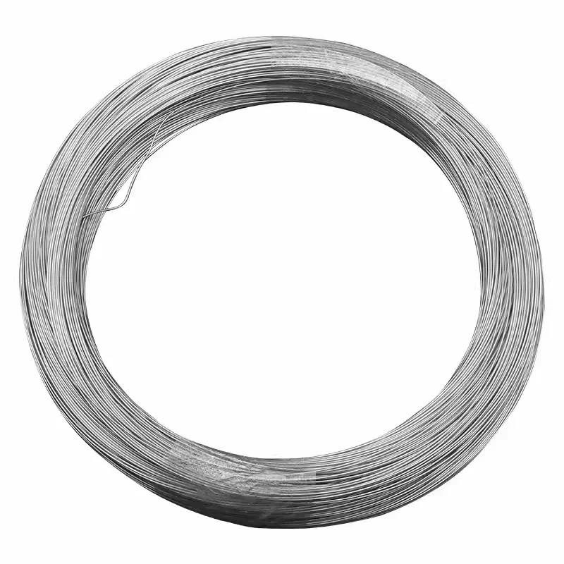 100M Soft Steel Wire Diameter 0.2mm-0.8mm 304 Stainless Steel Wire Single Strand Lashing Iron Wire