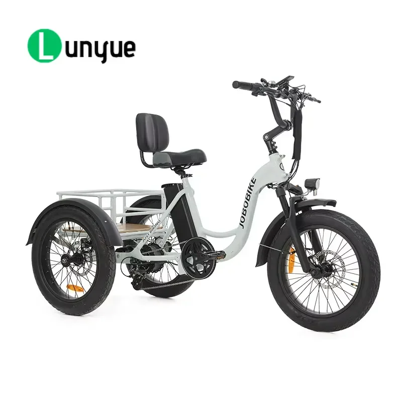 20 Inch 3 Wheel Electric Tricycle Cargo E Bike Adult Electric Trike For Delivery Shopping Heavy Duty Long Range