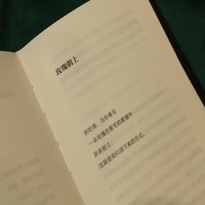 Things You May Find Hidden in My Ear Reading Book Chinese Version 2025 Pulitzer Prize Winners Work Poetry Pictures Book