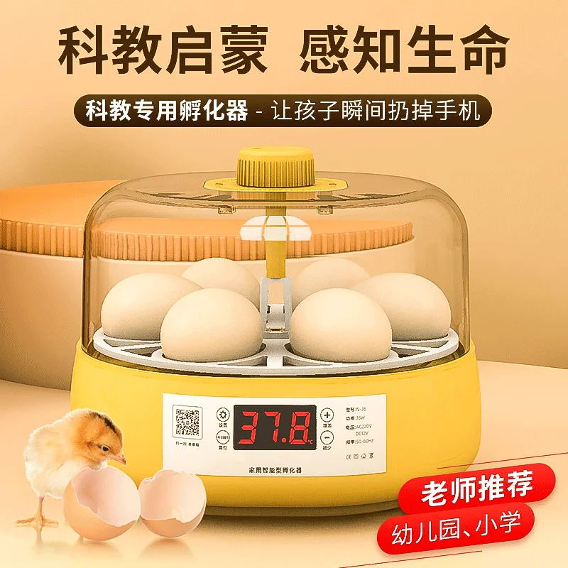 Incubadora de pollos automática, cama de agua inteligente para loro, hogar pequeño