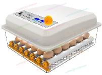 Automatic Egg Incubator For Chicken Duck Goose Poultry Hatching Machine Mini Smart Digital Home Use
