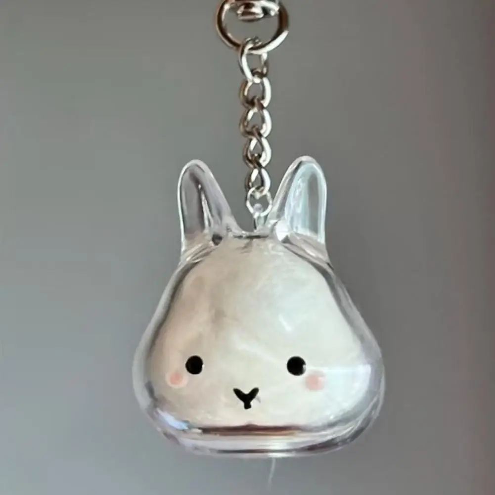 Transparent Pet Keychain 4pcs Rabbit Hair Keychain Pendant Transparent Capsule Keepsake Bottle Pet Hair Storage Accessory Gift