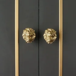 Single Hole Brass Lion's Head Knobs for Furniture Nordic Creativity Cabinet Knobs and Handles Shoe Cabinets Handles