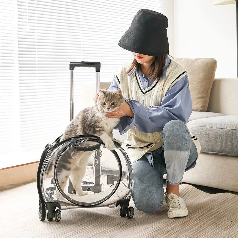 Pet luggage, transparent cat stroller