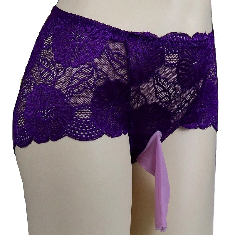 Sexy Underwear Mens Lace JJ Sheath Briefs men Lingerie Transparent Embroidered Male Panties Erotic Shorts Unterhose Large Size