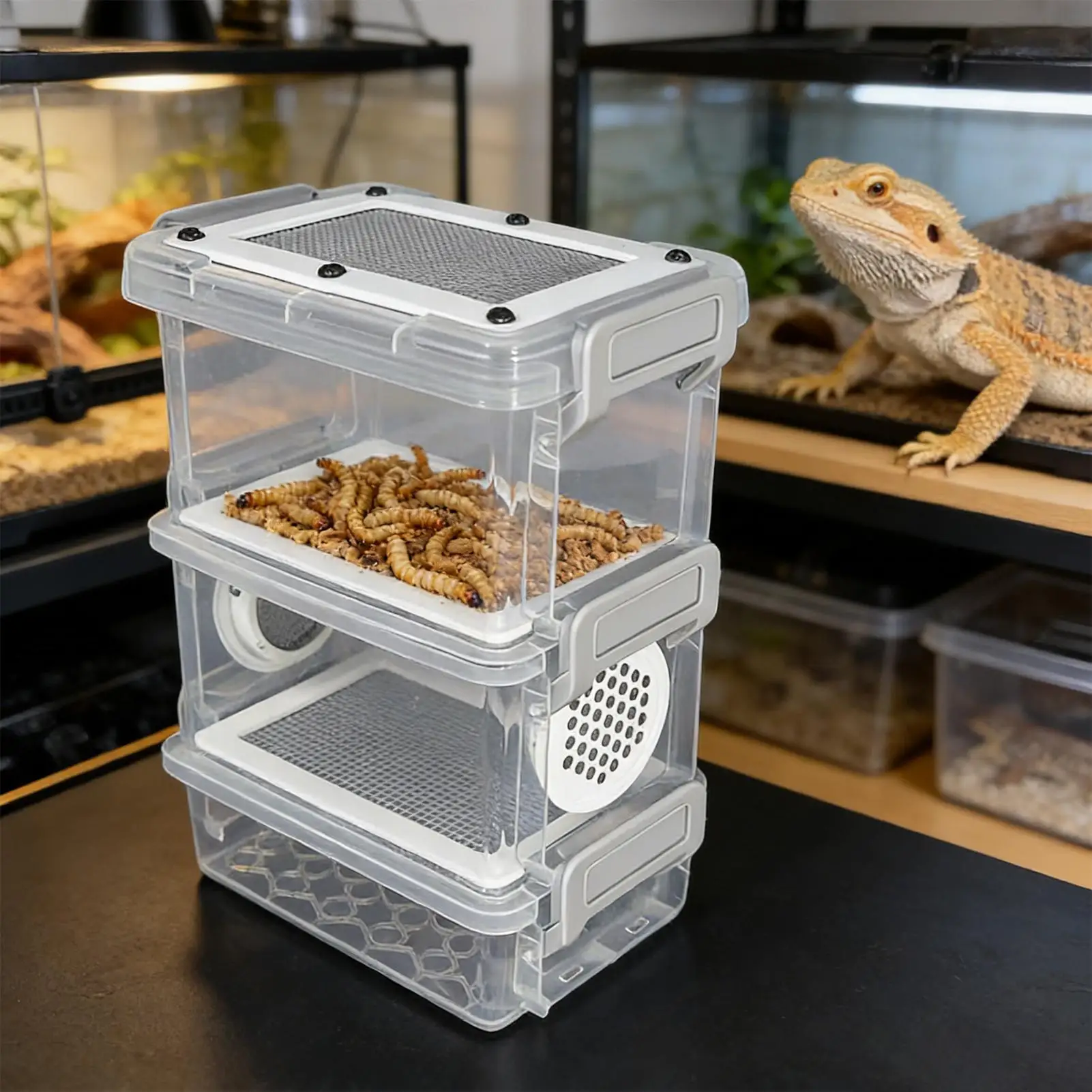 Mealworm Breeding Box Filter Container Breathable Keeper Small Animal Breeding Container for Reptiles Lizards Frogs Tortoises