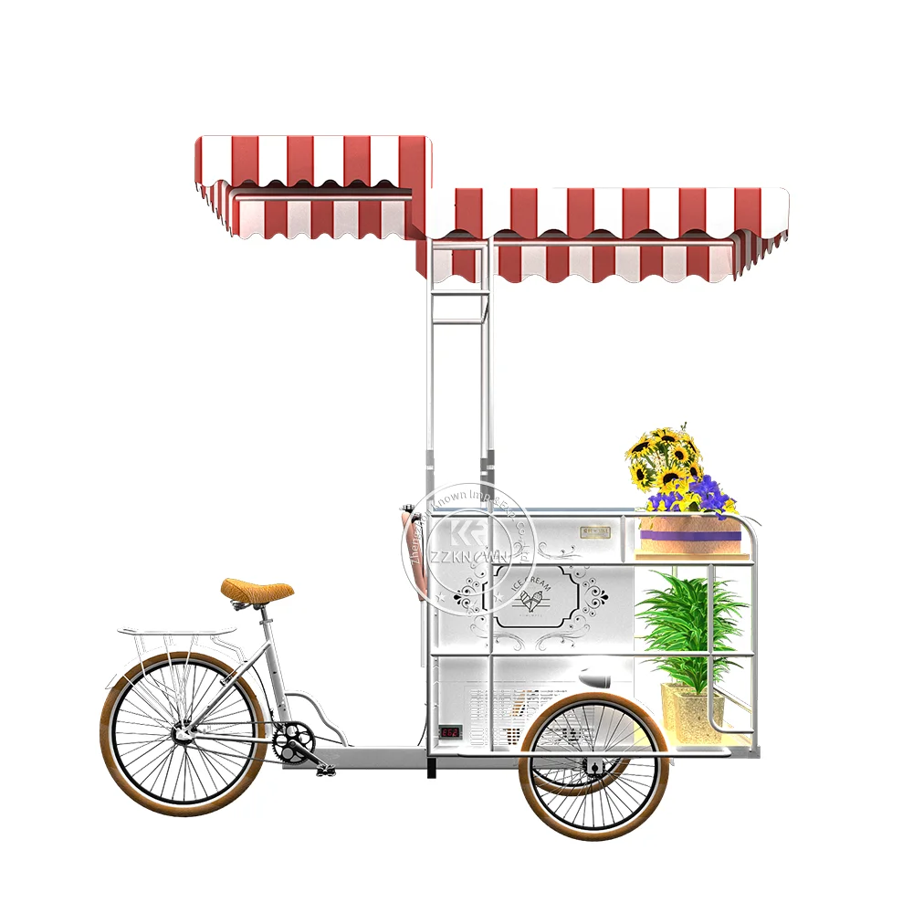 Custom Ice Cream Cart Luxury Snack Kiosk Beverage Dessert Coffee Street Portable Mobile Snack Push Cart For Outdoor Event