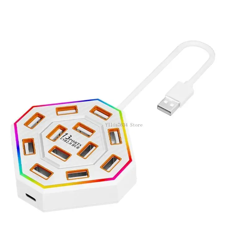  USB Splitter for Daily Computer Use with 13 Port Desk Layout