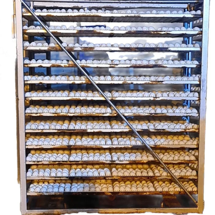 Chicken Egg Incubator with Capacity 12096, Reasonable Price and Quality