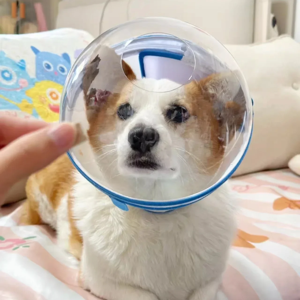 Space Dog Elizabethan Collar Prevents Liing Biting and Foot Chewing Anti-Colion Ne Ring for Blind Dogs Adjustable Dog Head Cover