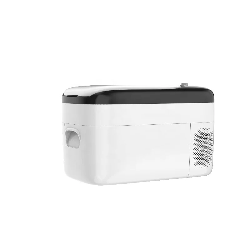 12V/24 V Mini Portable DC Compressor Car Truck Freezer Portable Freezer