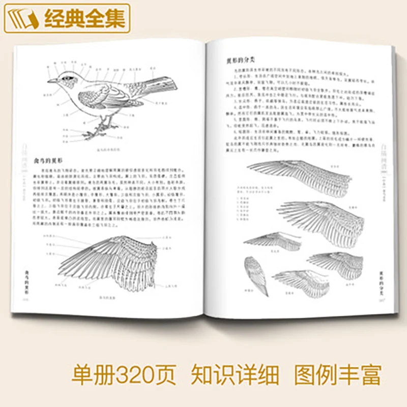 Estuche de dibujo blanco 5000, libro de texto de pintura de línea clásica, Libro de entrada de mostaza china, pájaros animales