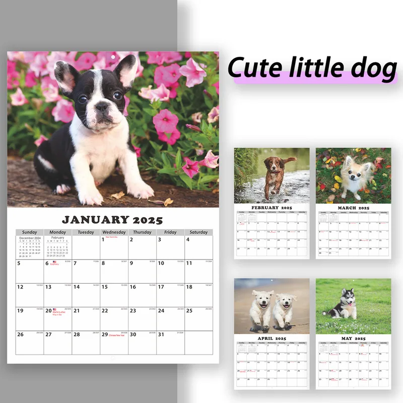 Neues Jahr 2025, lustiger Hund, Katze, Capybara, Wandkalender, Tier-Memo-Wandkalender, niedlicher lustiger Tierkalender, Wandkalender im Geschenkstil