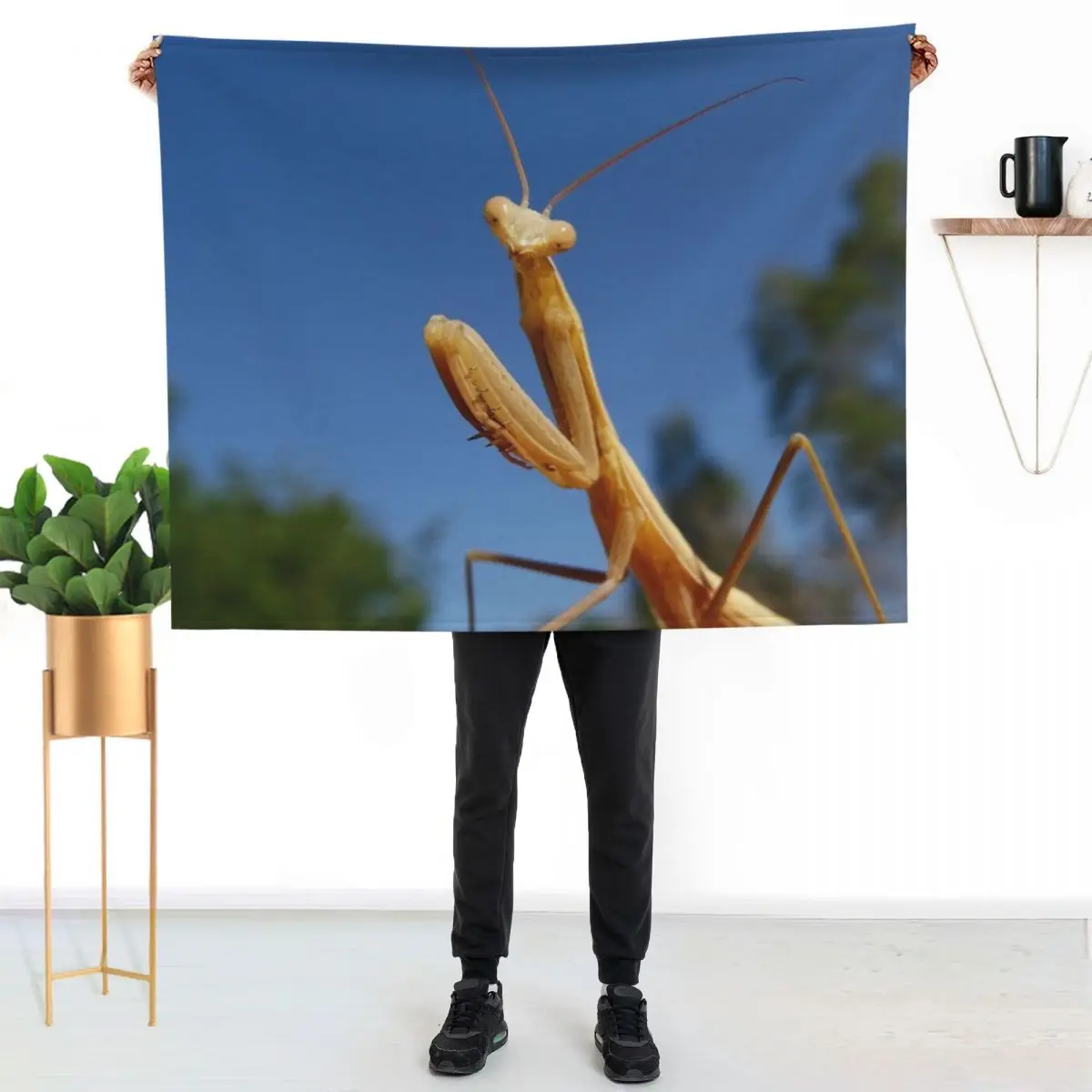 Praying mantis Throw Blanket Moving Custom Plush Soft Beds sofa bed blankets ands Blankets