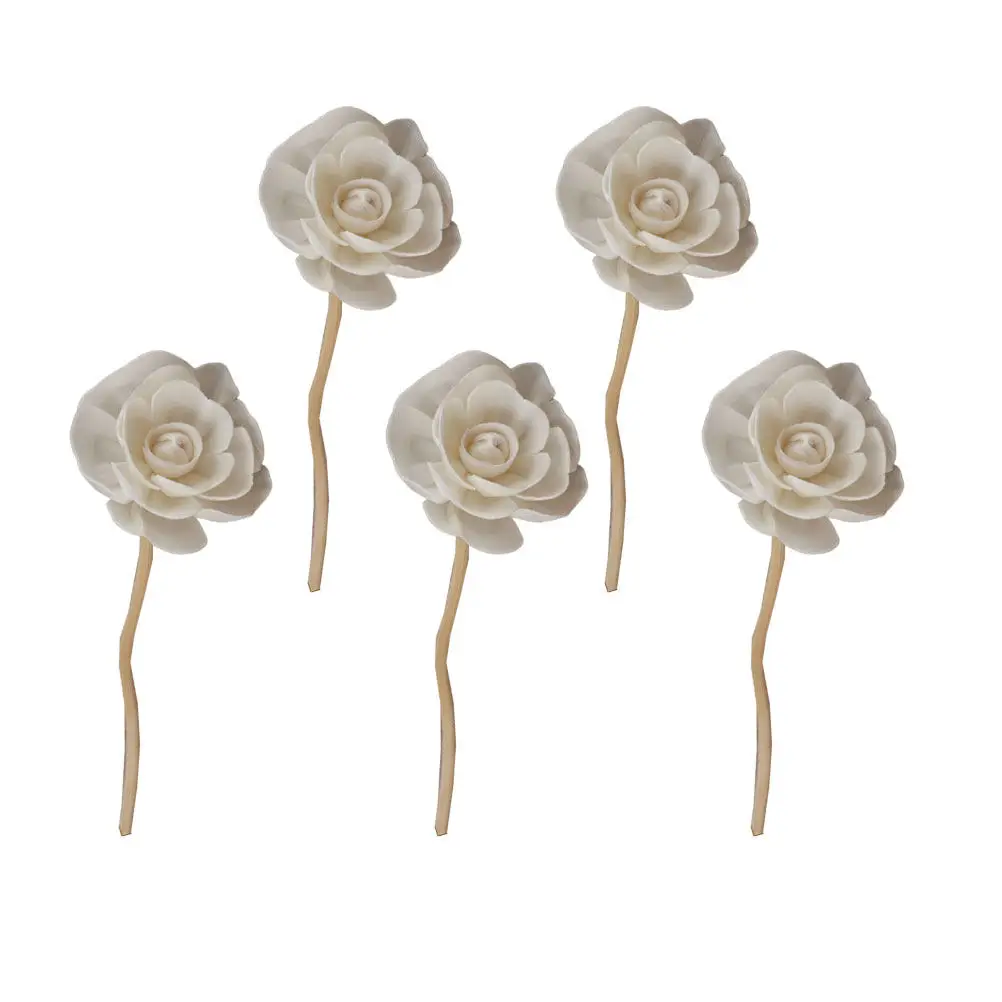 5Pcs Aroma Diffuser Reed Flower Rattan Sticks Natural Essential Oil Sticks Slow Release Fragrance Home Decor Office