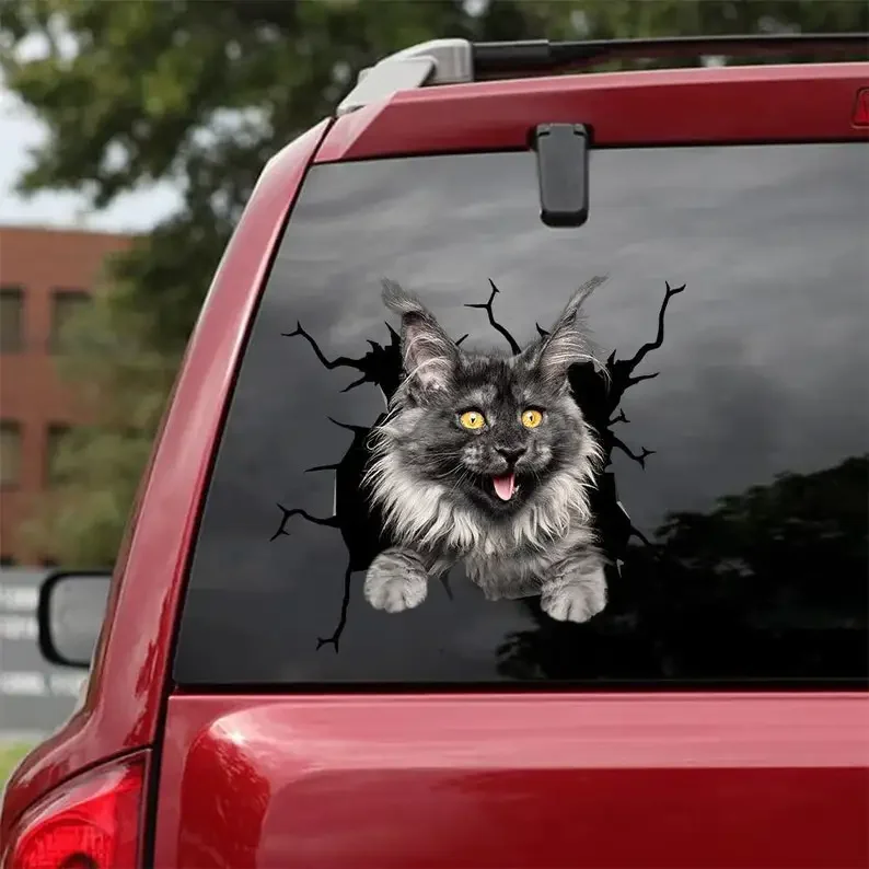 Maine Coon Cat Decal - fits cars,Windows,Laptops and any smooth surface, Maine Coon Cat Stickers, Pet Stickers, Custom Cat Stick