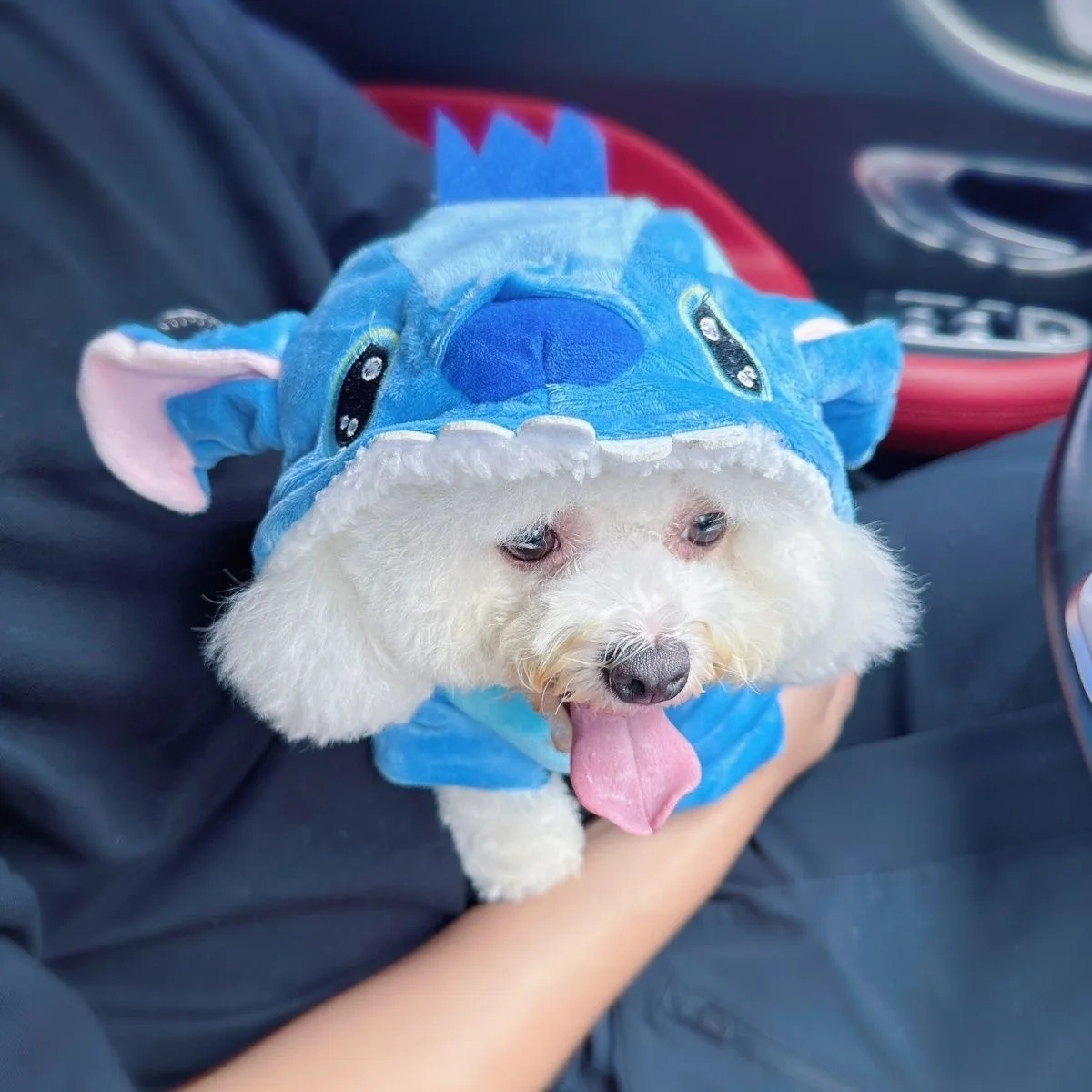 Anime Cartoon Leuke Lilo Stitch Huisdier Kostuum Kat Hond Transformeren Pluche Gevoerde Snap Jas Vierpotige Kleding Verrassingscadeau voor Fans