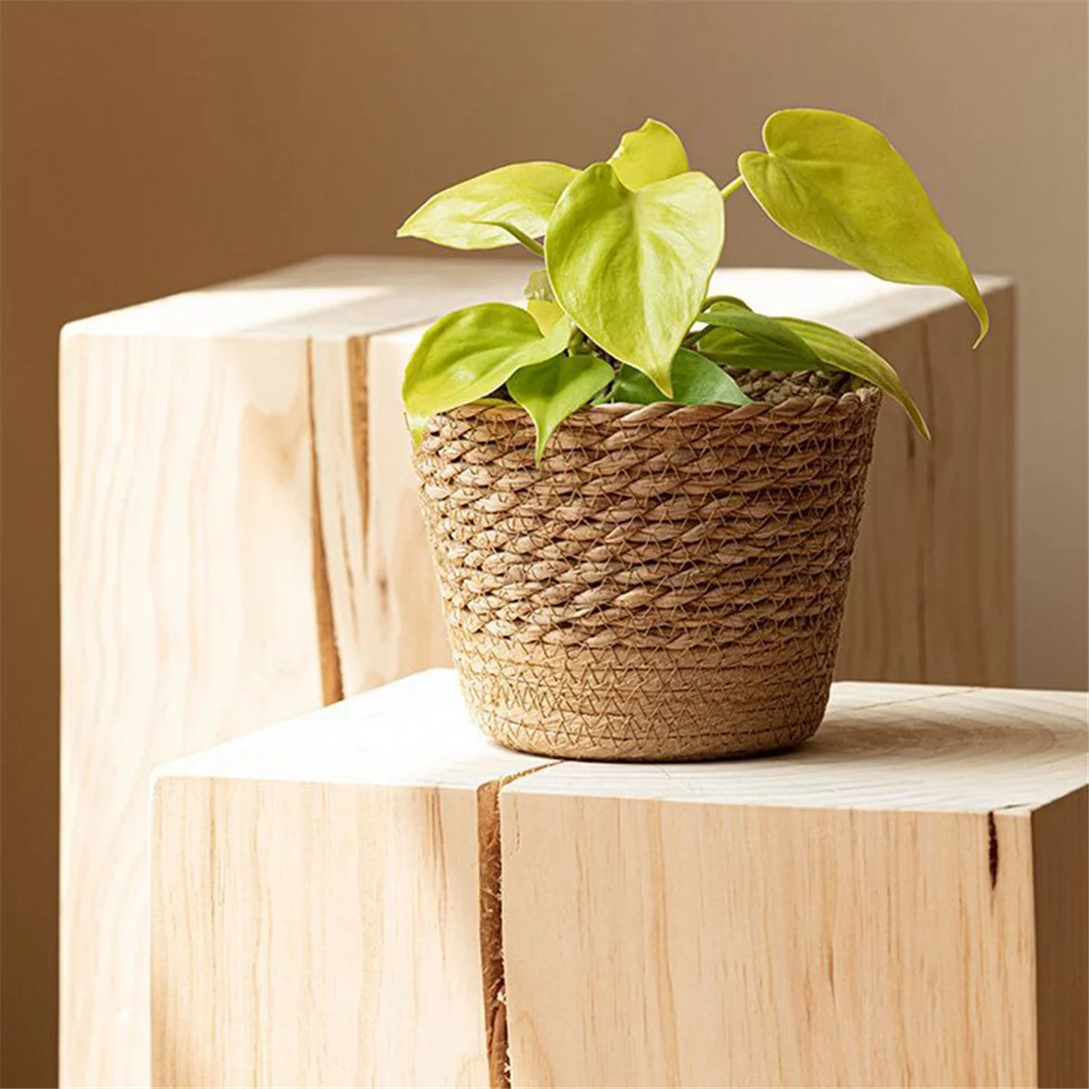 

Straw Weaving Flower Plant Pot Wicker Basket Rattan Flowerpot Storage Basket Handmade Woven Planter Basket MJAS