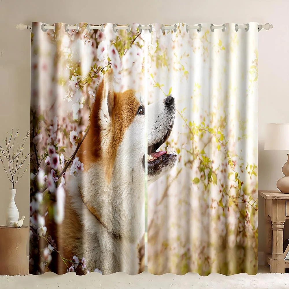 Japanese Shiba Inu Window Curtains Cute Dog Under Cherry Blossoms Tree Lovely Family Pet Puppy Animal Theme Blackout Curtains