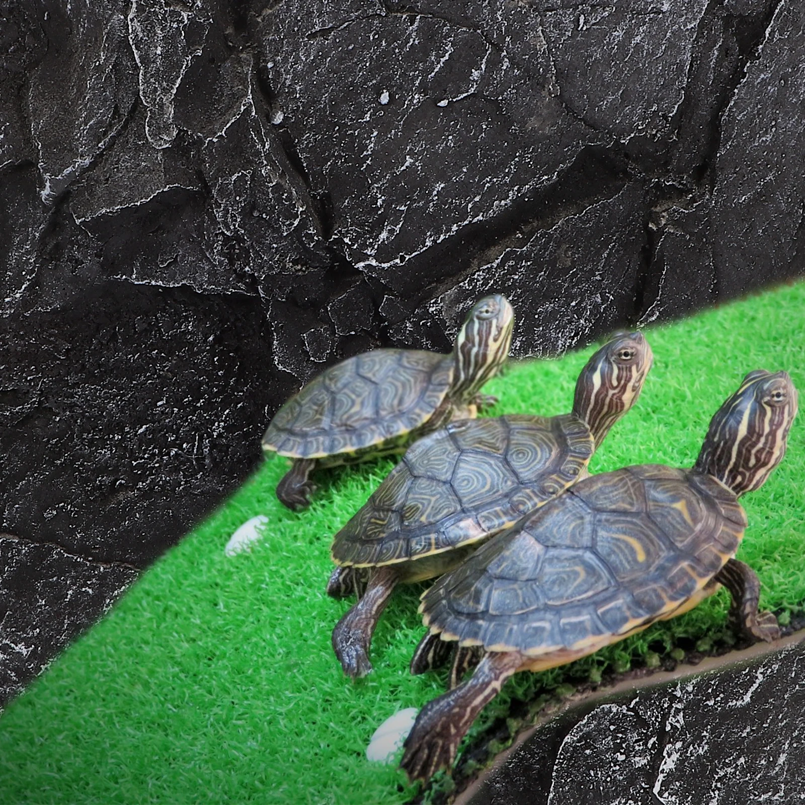 

Rock Style Reptile Tank Background Terrarium Simulated Stereo Board Aquarium Fish Turtle Habitat 3D Climbing Surface