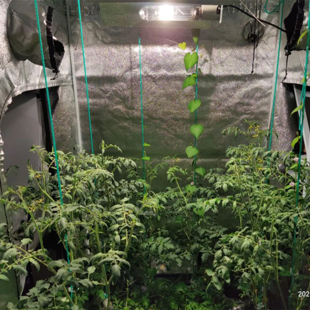 كابح كهربائي SOLIDEE 315W CMH يستخدم لمبة هاليد معدنية من السيراميك بقدرة 315 وات