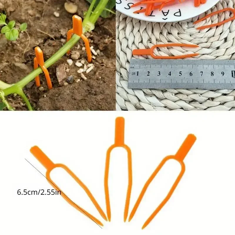 100 PCS Plant Ground Anchor Clips for Strawberry Tomato Vine Smooth No Burrs Sturdy Plant Staple Pegs Watermelon Planting Fork