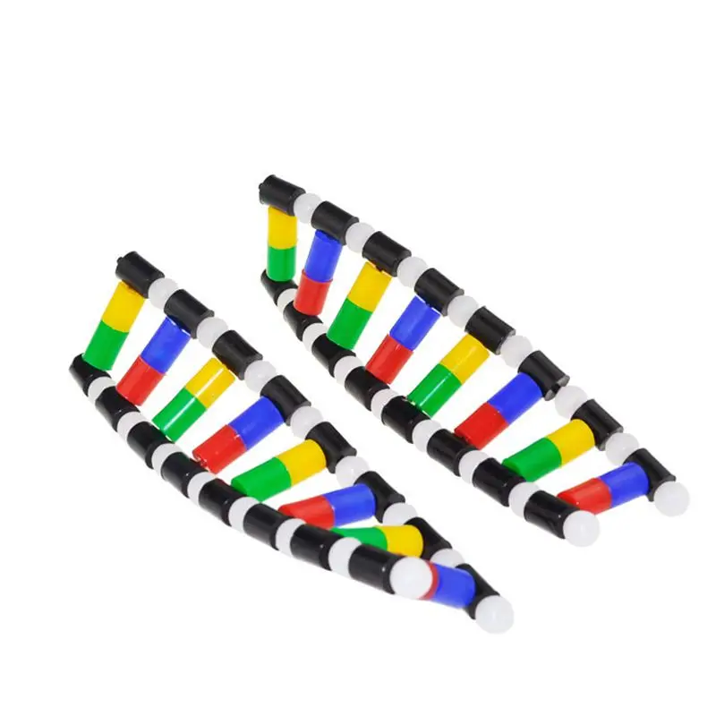 Dna Display Model D…