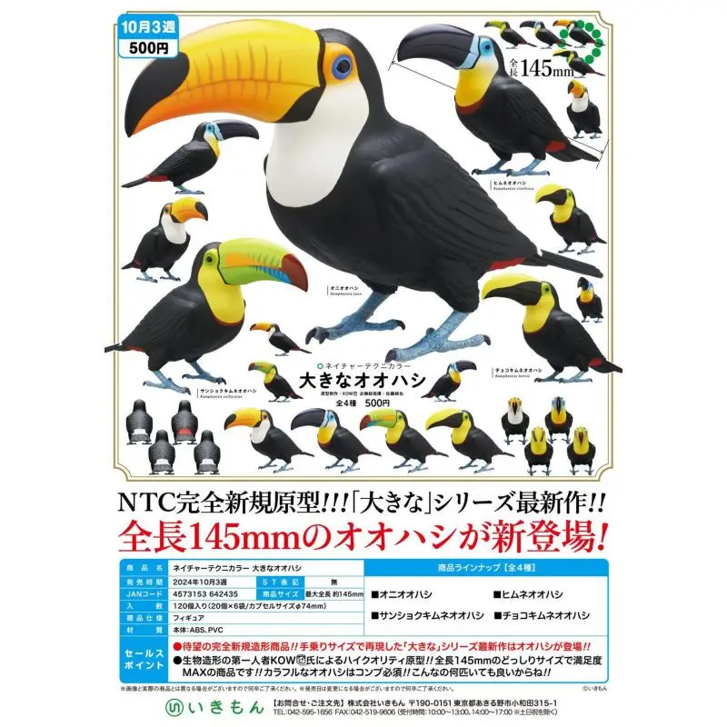 Japan Ikimon Gashapon Capsule Toy Ramphastos Toucan Collection Decoration Standing Position Big Mouth Illustration