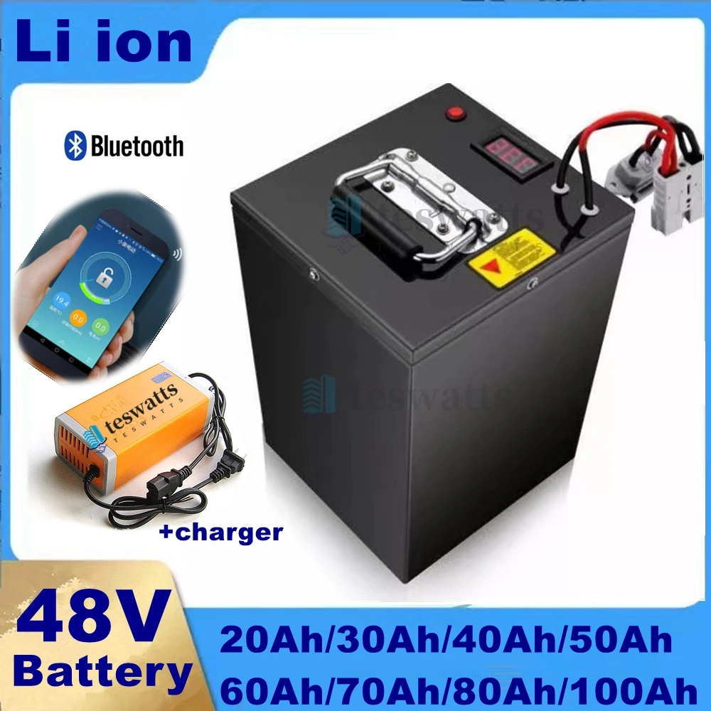 48V 100Ah 80Ah 70Ah 60Ah 50Ah 40Ah 30Ah 20Ah Lithium Ion Battery for 1kw 2kw 3kw electric two three wheel +Charger