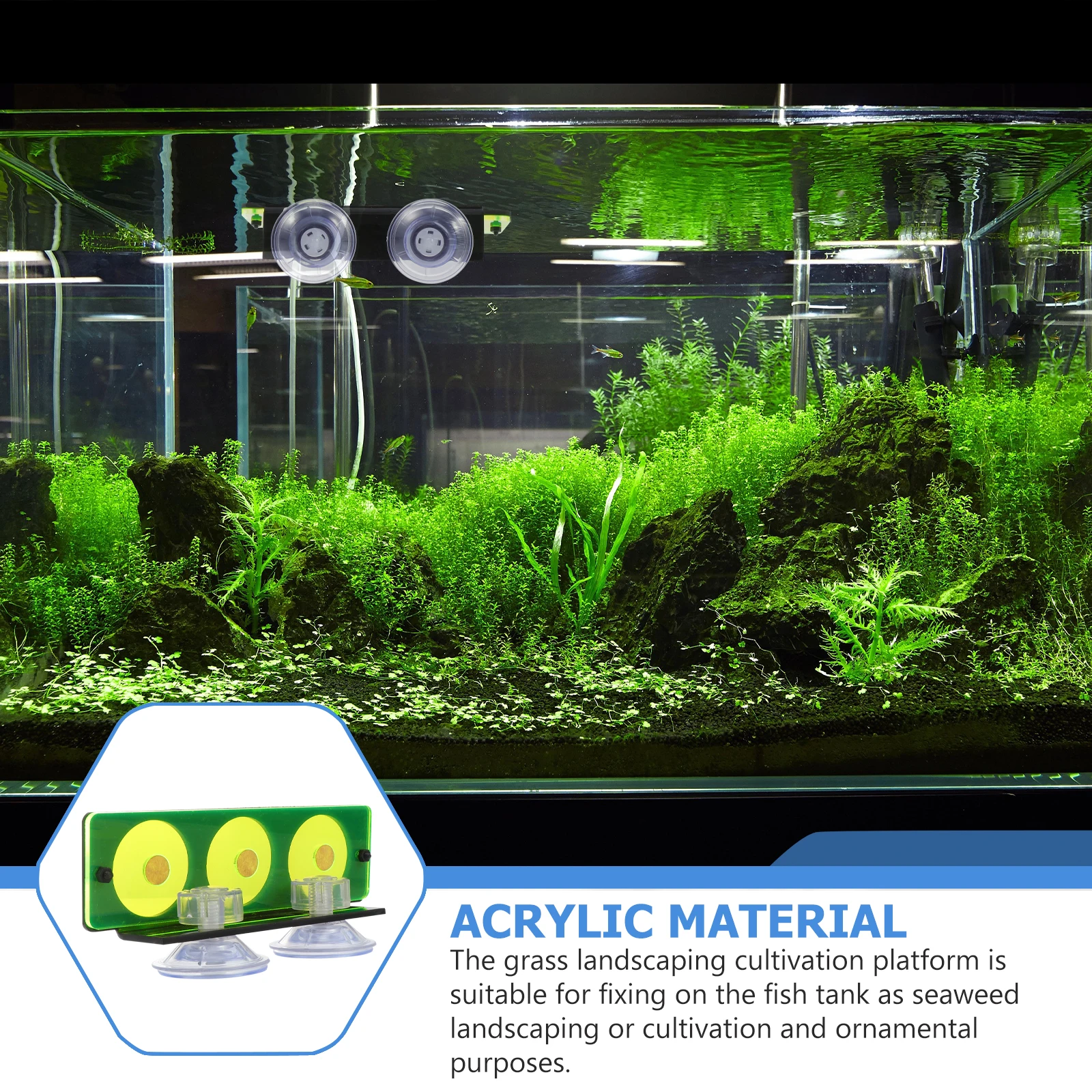 

1Pcs Fish Tank Coral Stand Coralline Plug Base Suitable Most Coral Frags Smooth Shape Easy Installation Aquarium