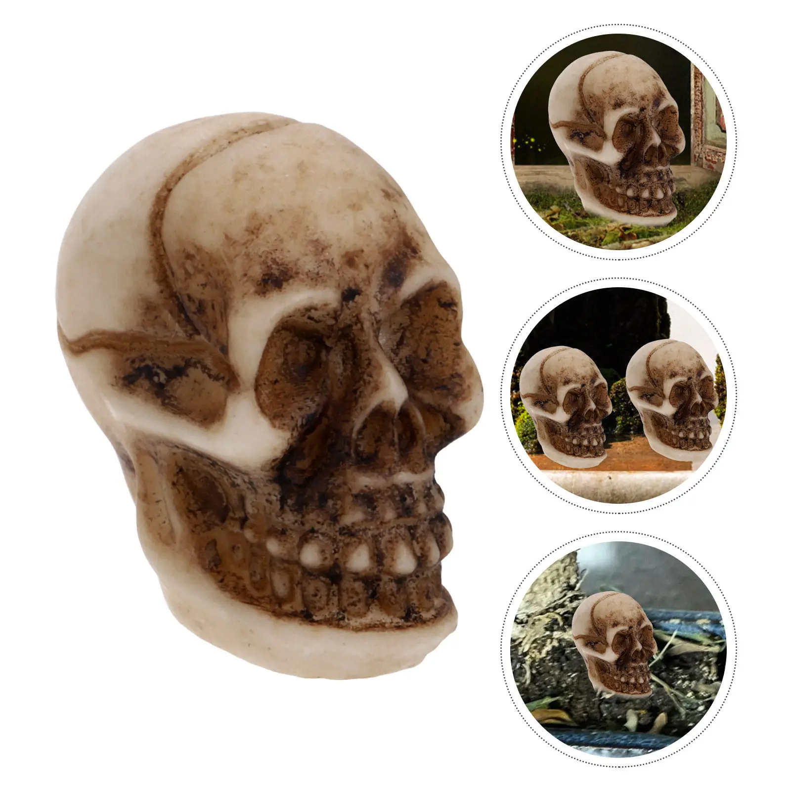 20Pcs Realistic Tiny Decor Halloween Skull Models Scary Party Props Decoration Mini Skull Skulls Decor
