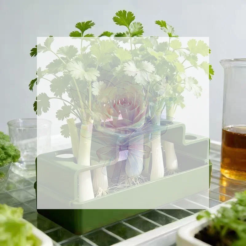 Reusable Green Onion Hydroponic Growing Device Non-Toxic Regrowth System for Small Space Apartment Indoor Herb Cultivation