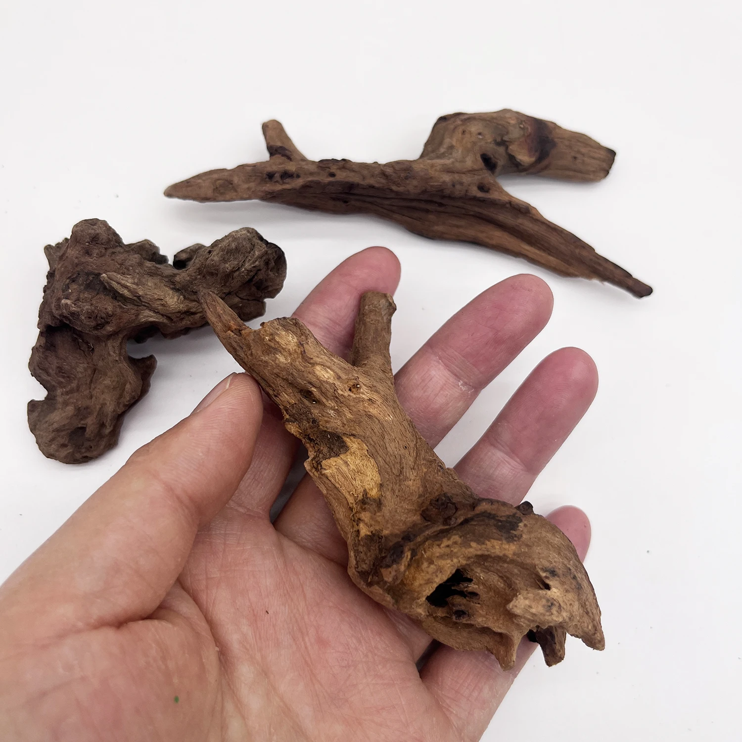 3/6/9PCS Micro Landschaft Dekoration 5-10CM Holz Zweige, Kleine Treibholz Für Aquarium, Aquarium ornamente Dekor Hause Haustier Werkzeug – Detail 1