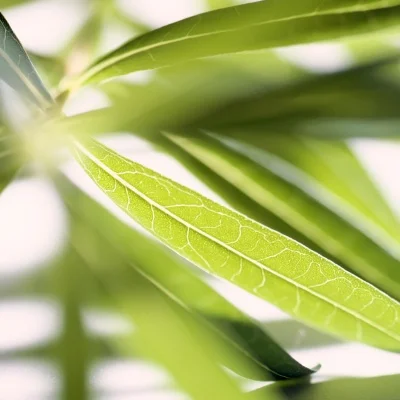 

Комплект шасси из углеродного волокна, рама, балка для 1/10 RC Crawler Axial SCX10 и SCX10 II 90046, детали для обновления