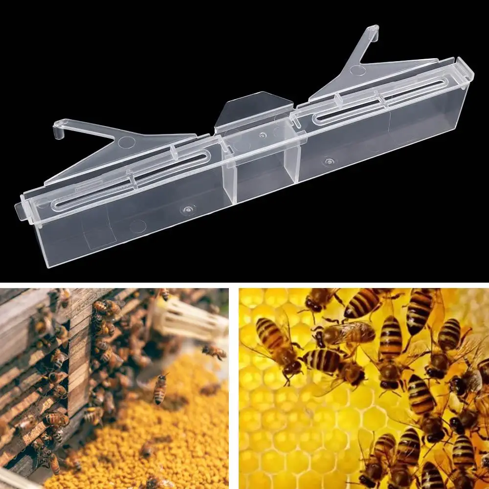 

Beekeeping Tool Clear Hive Beetle Trap Plastic Reusable Bugs Catcher Portable Nest Insect Trap Beetle