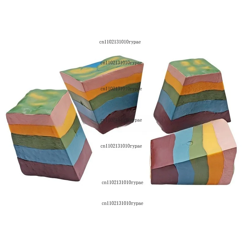 Geological structure, fault structure and model of dome and graben development