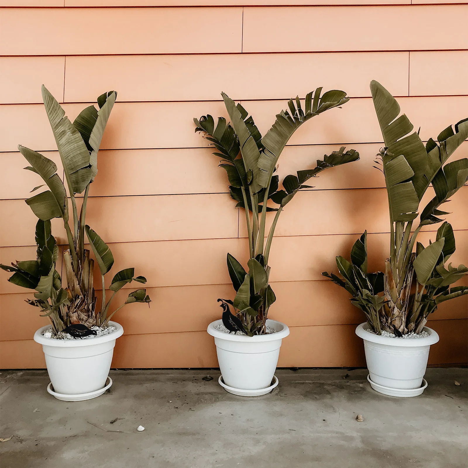 

4Pcs Metal Quail Garden Ornament Yard Decoration Vivid Lawn Courtyard Landscape Accessory Metal Quail Ornament