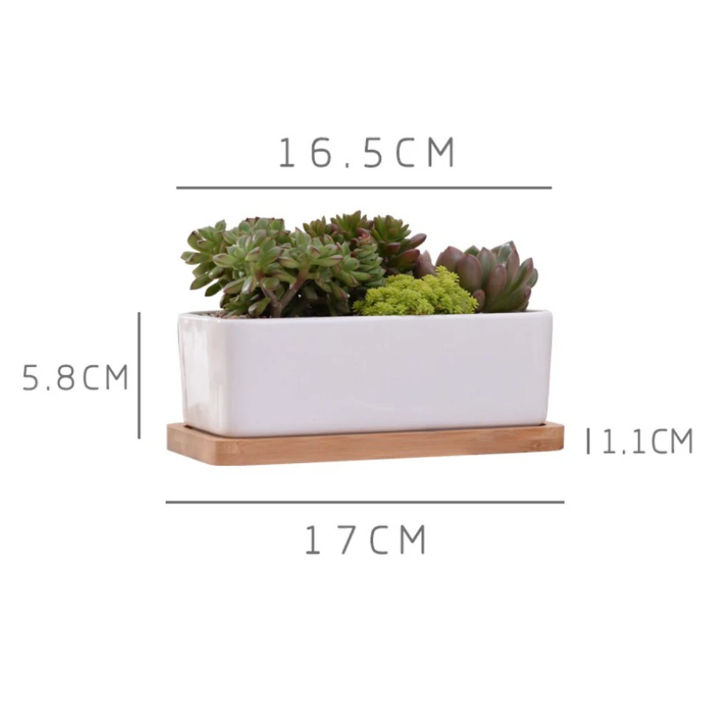 

2Pcs Succulent Plant Pots Flowerpot Durable Fashion Planter for Cactus Herbs Flowers