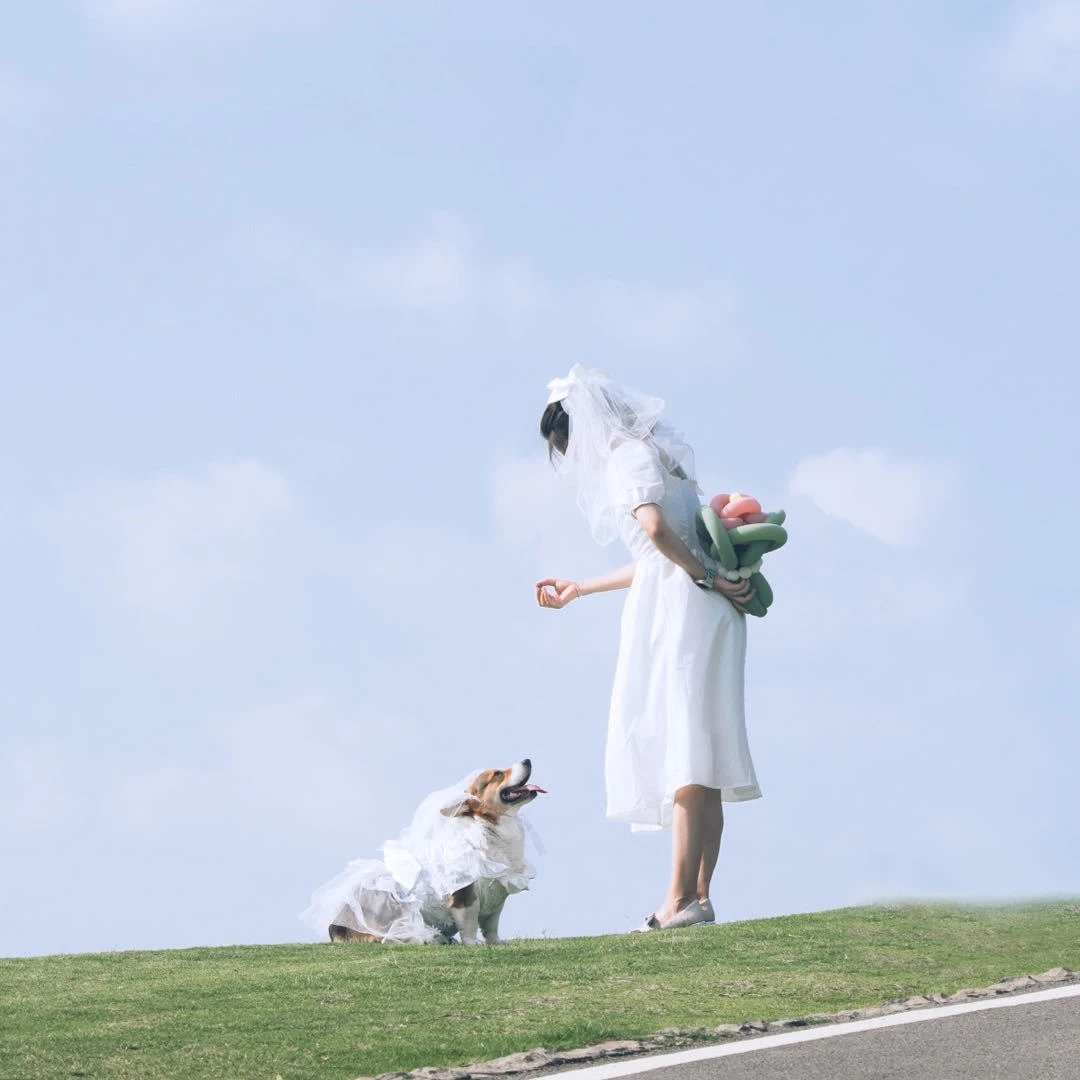 Dog Matching Wedding Dresses With Veil,Embroidery Puppy Dress For Medium Large Dogs,Adjustable Skirt For Dog Bride Wedding Gown