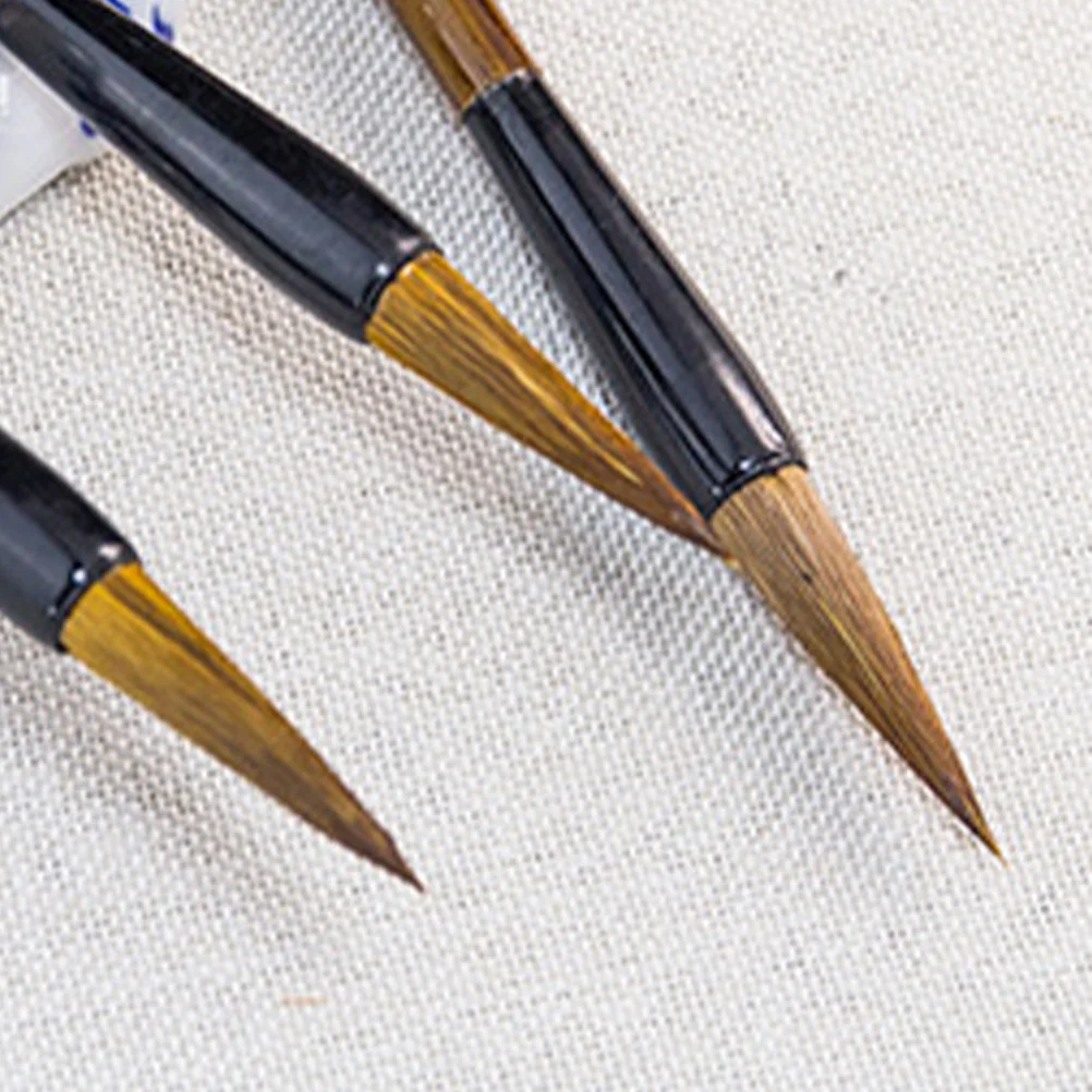 

3Pcs Chinese Calligraphy Brush Set Flexible Fine Tip for Watercolor Ink Painting Sumi Art School Supplies Writing Pen