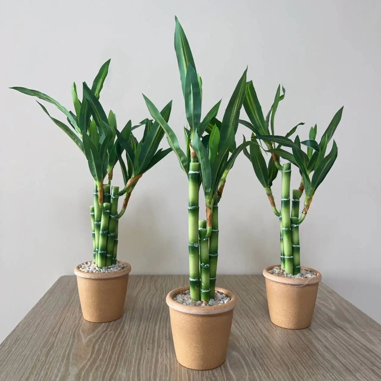 Artificial Lucky Bamboo Plant Green Potted Garden Outdoor Living Room Desktop Aesthetic Space Tropical Rainforest Home Decor - Detail 1