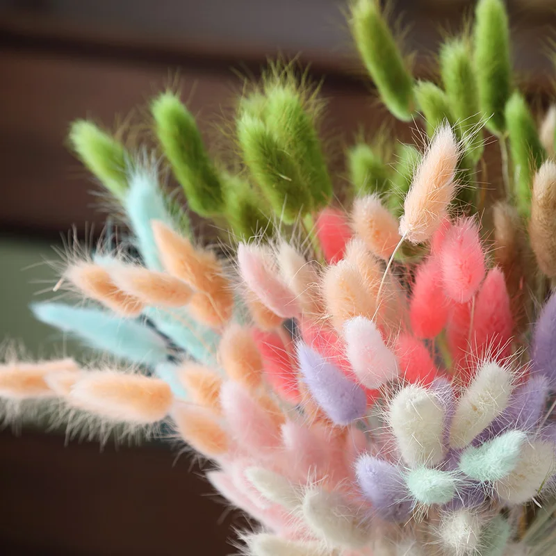 #11 Top Dried Flowers Picks for Every Budget