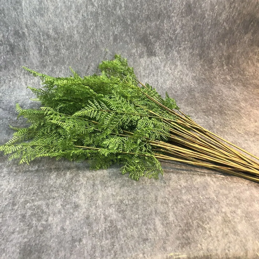 Picture 4: Realistic Artificial Fern Plant Branches Real Touch Elegant Artificial Greenery Fern Grass Handmade Fake Plants Wedding Decor