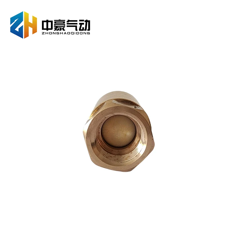 Aa-L10 check valve Zhonghao Pneumatic and Hydraulic Components with complete specifications