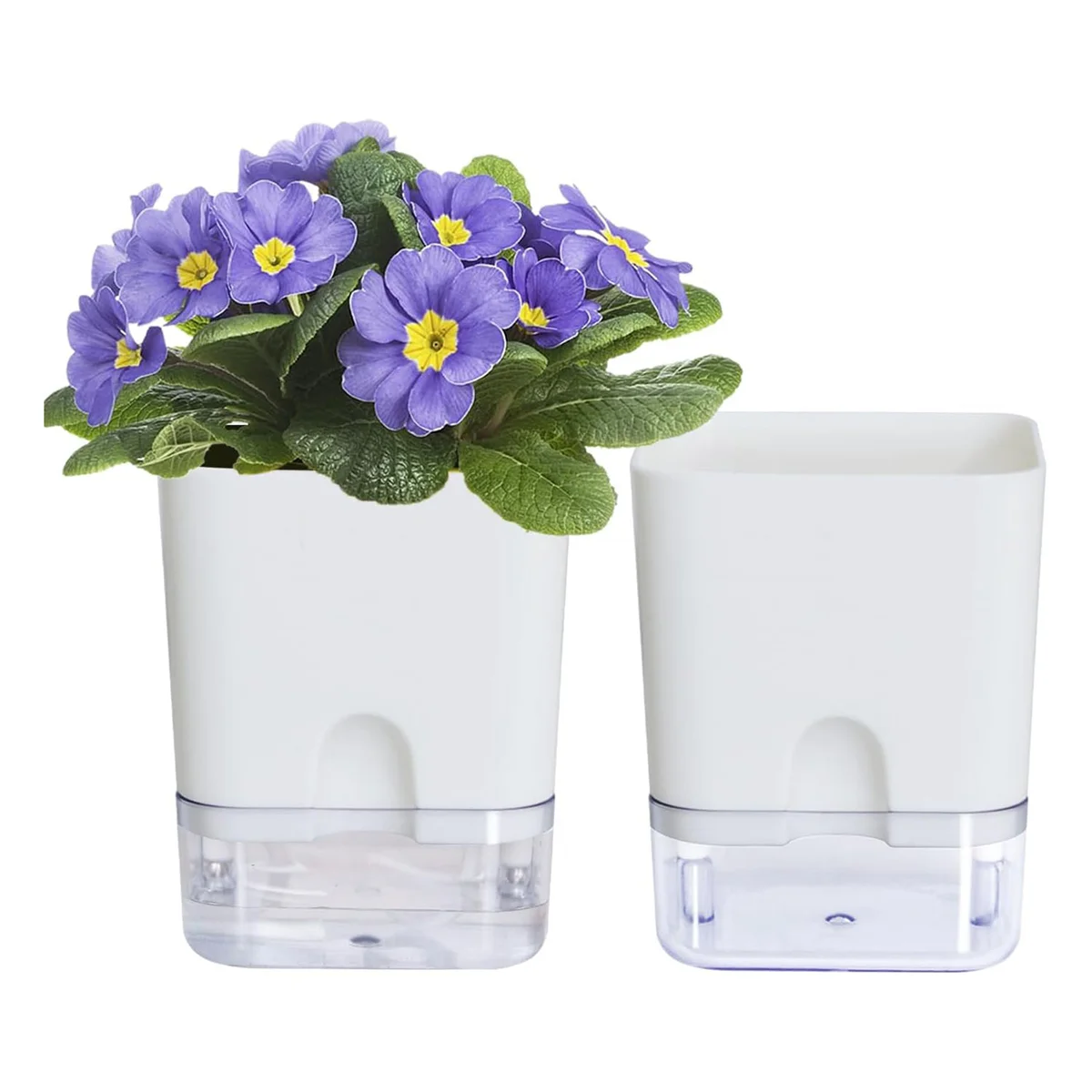 

Plant Pots Indoor 4.25 Inch Self Watering Plant Pot for Indoor, Violet Pots Planter with Visible Reservoir Self 2Pcs