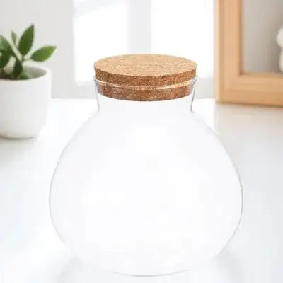 

15cmx16cm Glass Moss Bottle DIY Empty Terrarium Jar for Micro Landscape Plants Clear Storage Canister with Cork Lid Home Decor