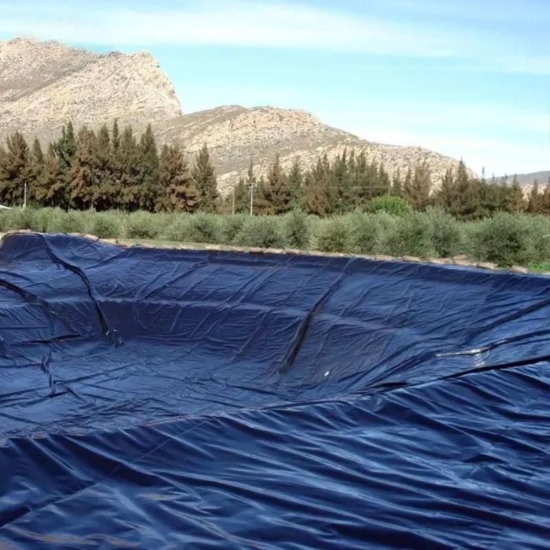 HDPE Waterproof Pond Liner Geomembrane Customized Thickness for Aquaculture Dam Landfill Mining and Reservoir Projects